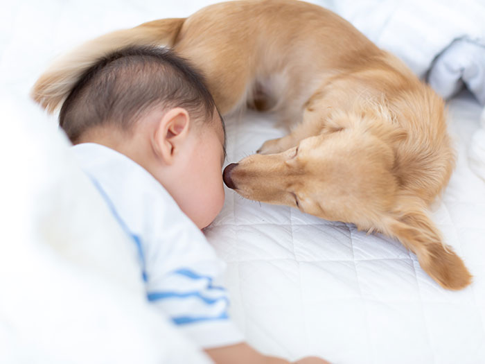 赤ちゃん・ペットのいるご家庭