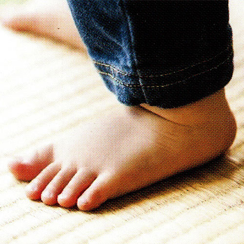 見て触れて納得